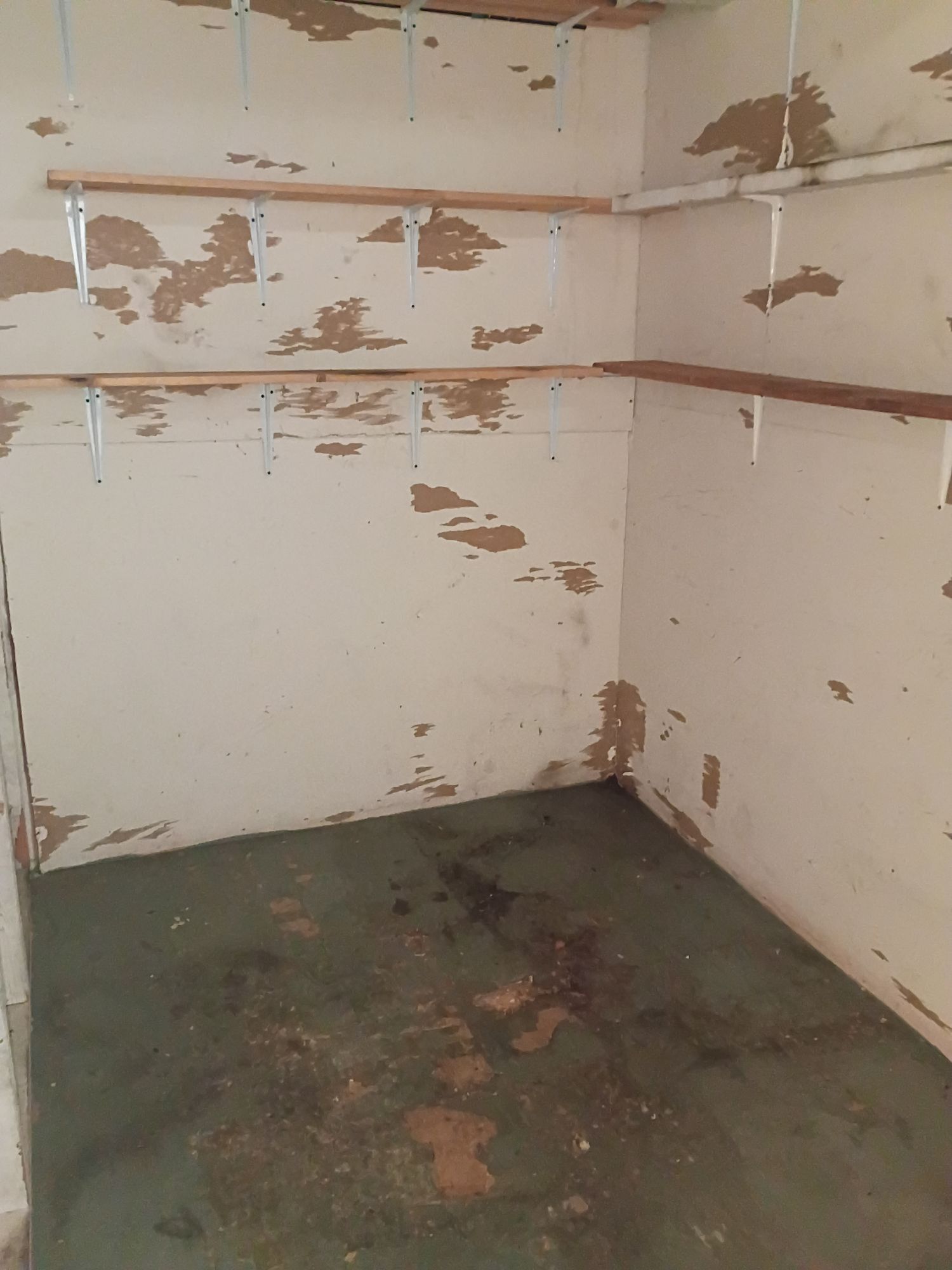 storage clean out after 2