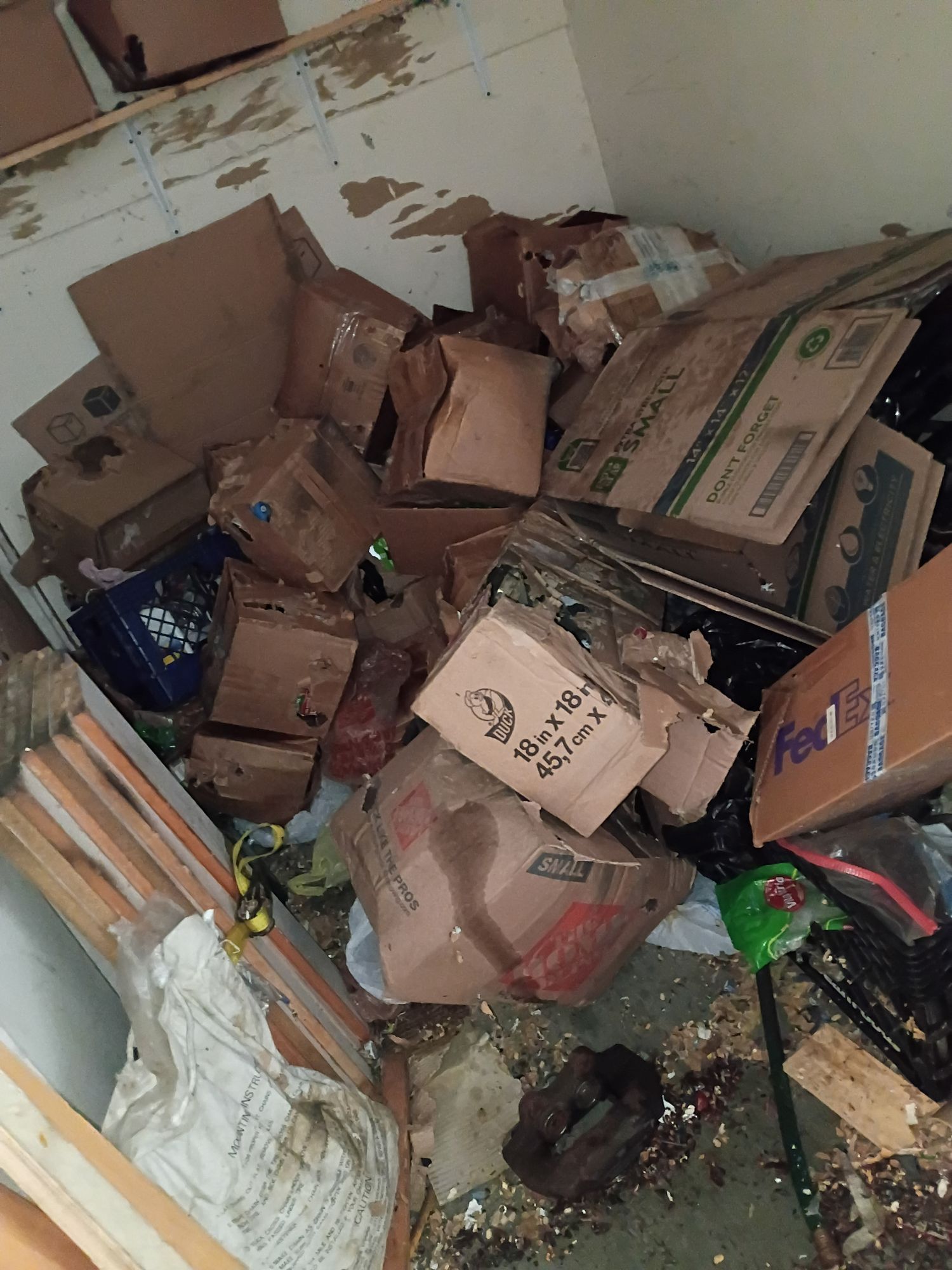 storage cleanout before 2