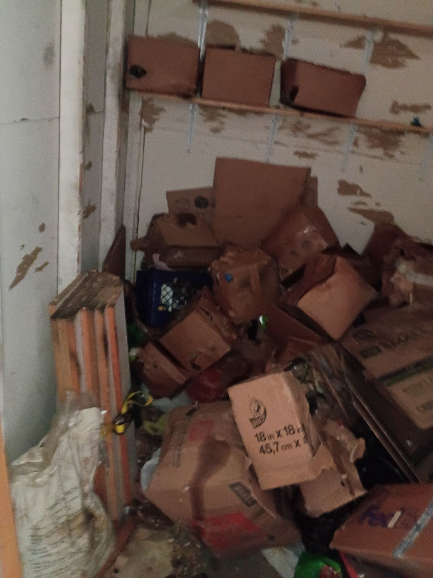 storage cleanout before 1
